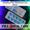 Ginseng For Reinforcing Kidney new15